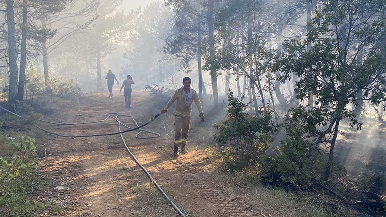 Kastamonu’da orman yangını kontrol altına alındı