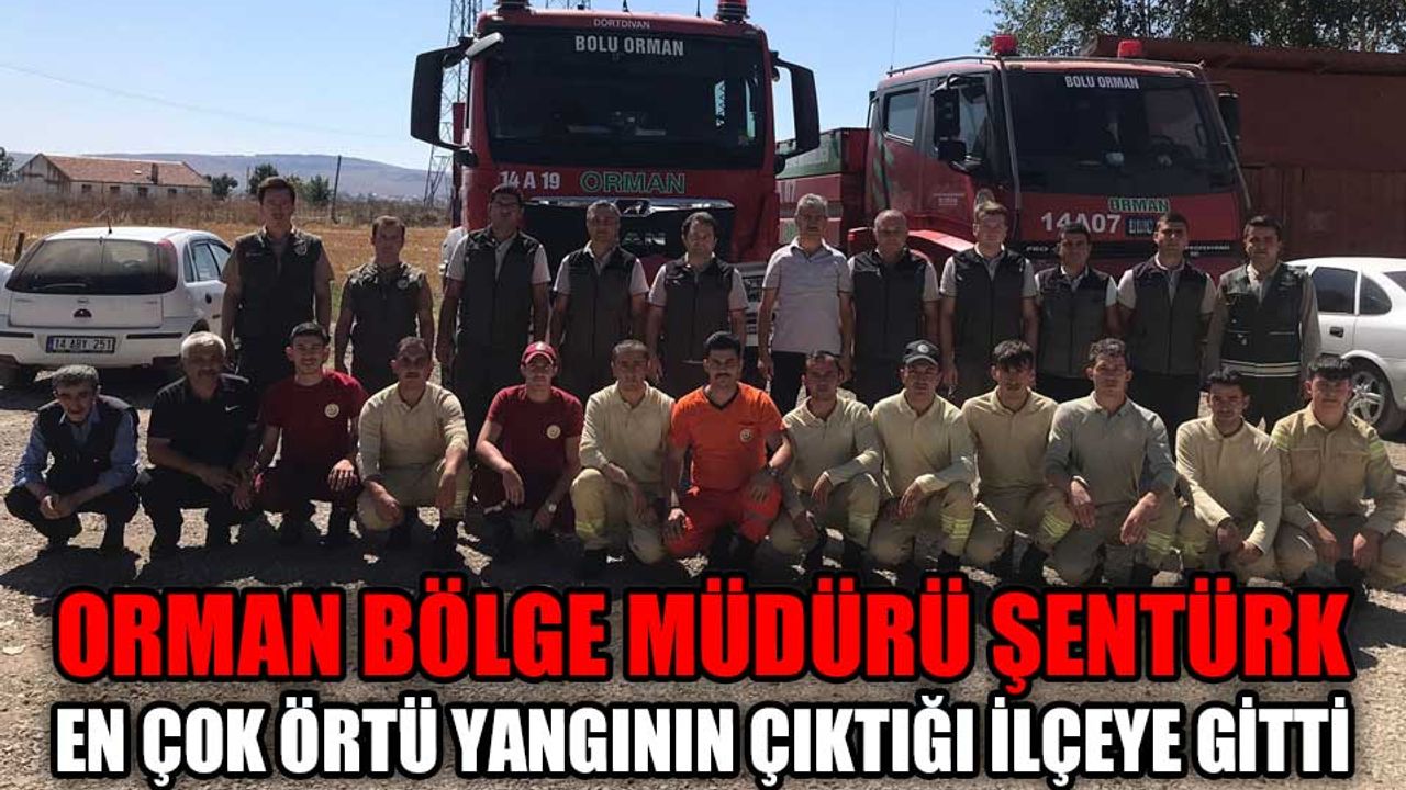 Orman Bölge Müdürü Şentürk, en çok örtü yangının çıktığı ilçeye gitti