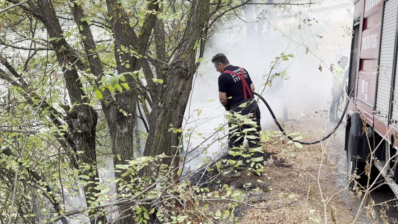 Ağaçlık alanda çıkan yangına polisten müdahale