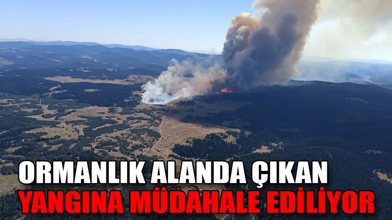 Zeyneller Yaylasında bulunan ormanda yangın çıktı