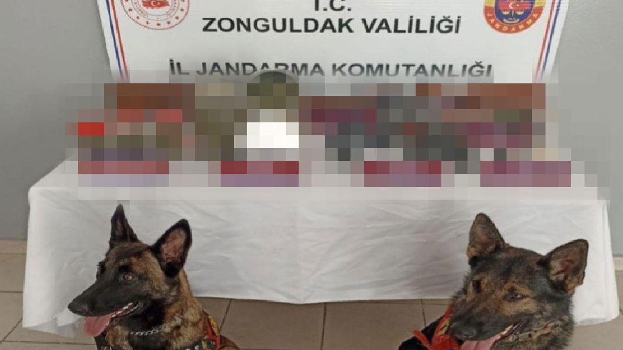 Zonguldak'ta evde uyuşturucu ve ruhsatsız silah operasyonu