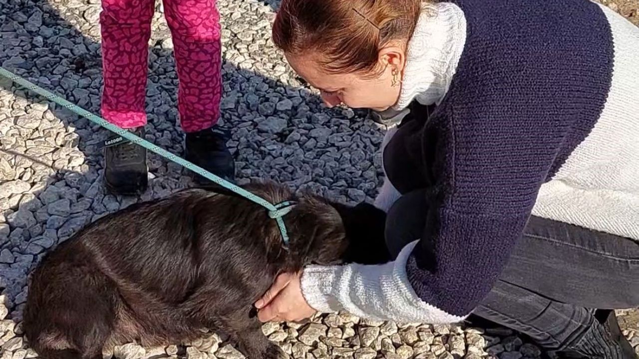 7 aydır kayıp köpeğin sahibi ile buluşma anı duygulandırdı