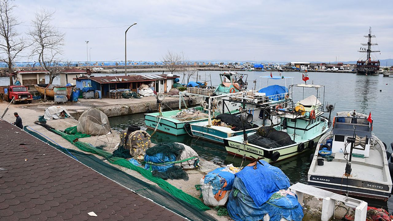 Akçakoca'da balıkçılar şiddetli rüzgarın ardından yeniden denize açıldı