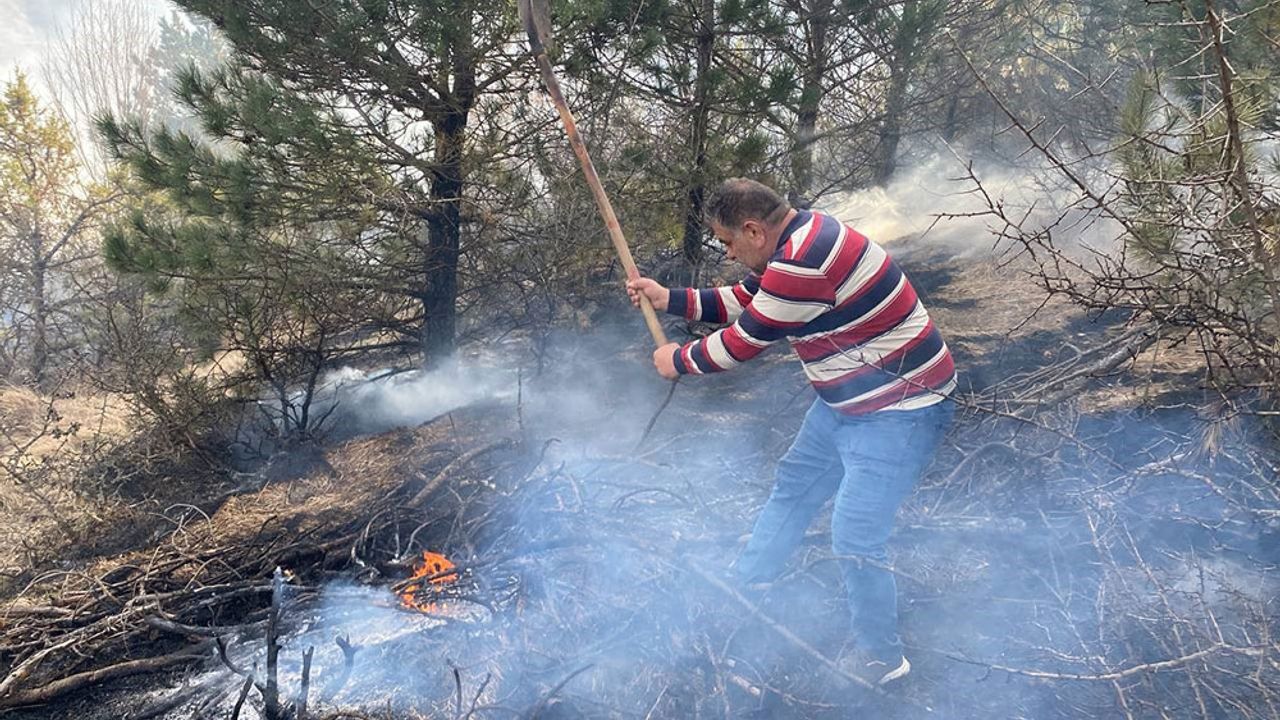 Karabük'te çıkan orman yangını kontrol altına alındı