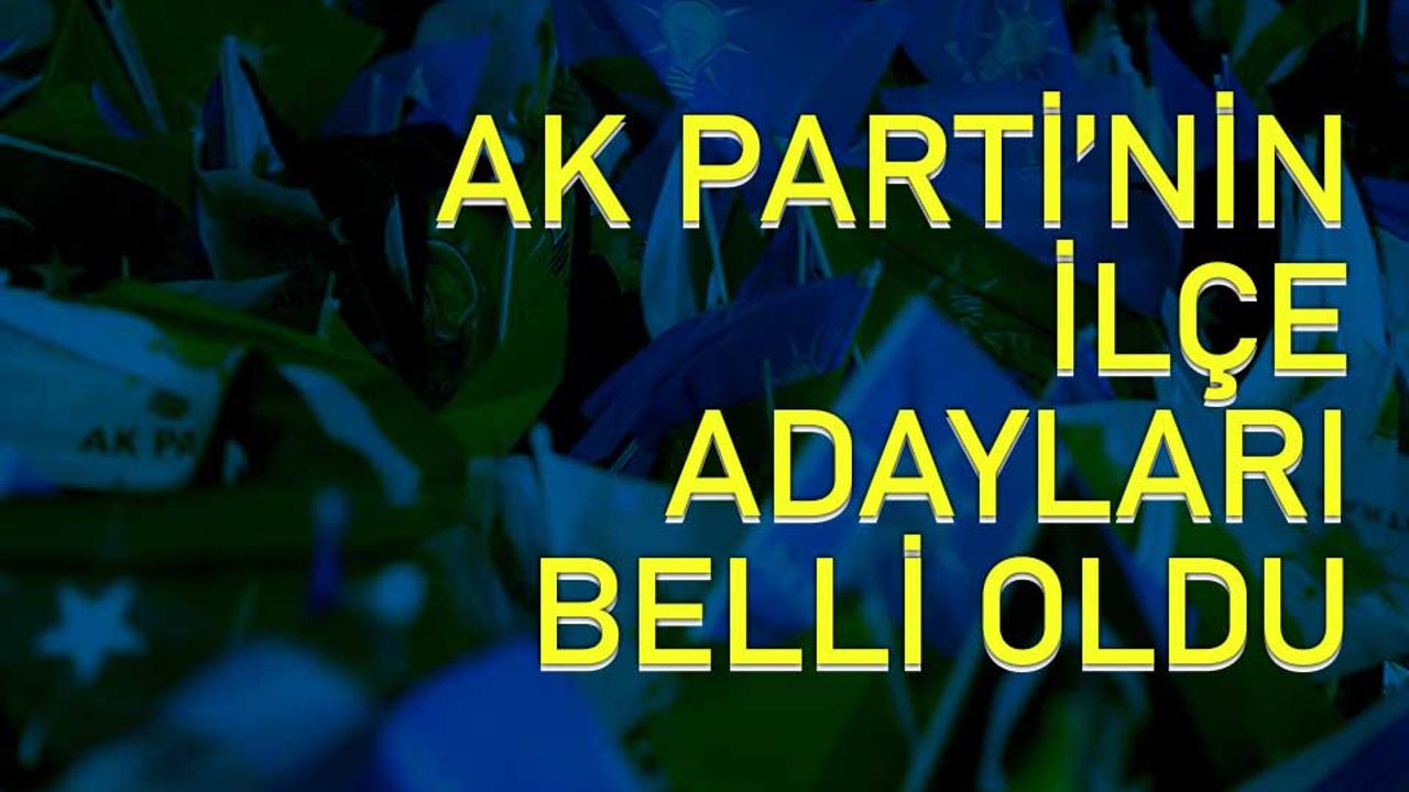 AK Parti'nin, Bolu'nun ilçelerdeki adayları belli oldu