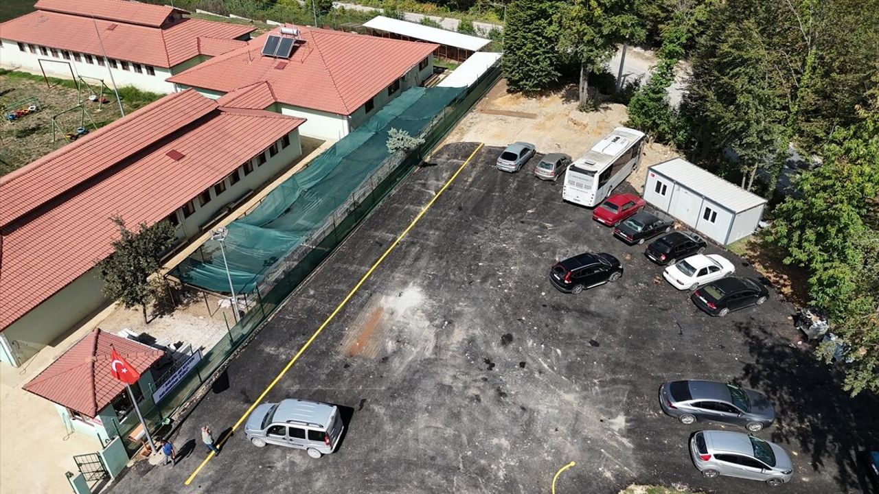 Düzce'deki iki bakımevi sahipsiz hayvanlara yuva oluyor