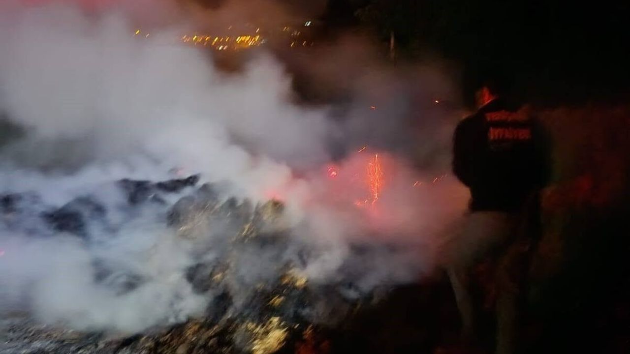 Korkutan yangın: Ormana sıçramadan söndürüldü