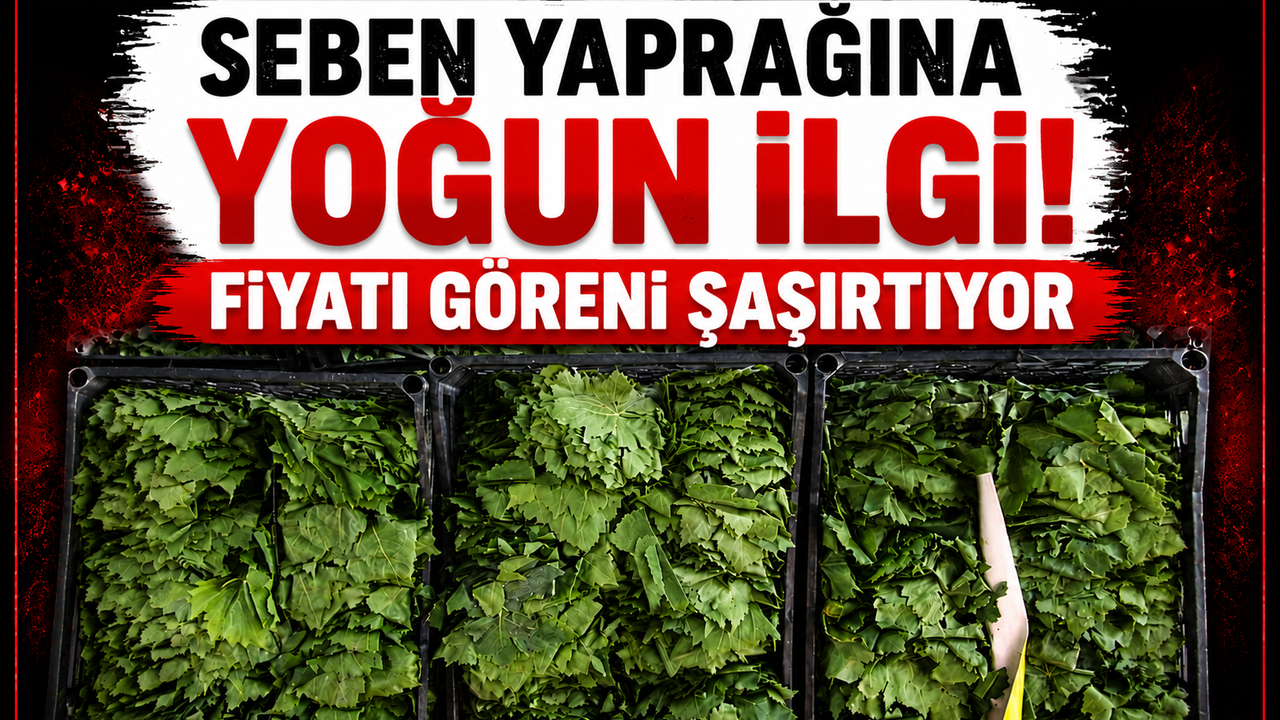 Seben yaprağı fiyatıyla dikkat çekti: Tezgahta 400 TL’ye kad