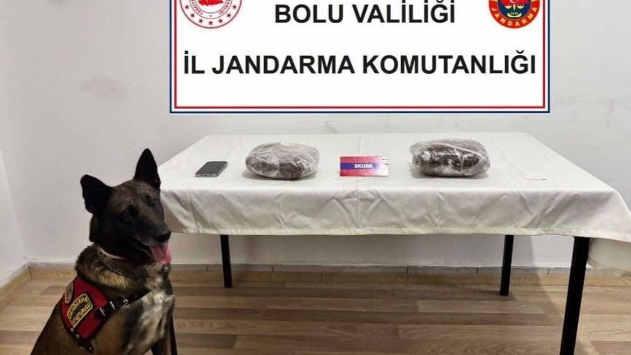 TEM'de yolcu otobüsünde 810 gram esrar ele geçirildi; 1 tutuklama