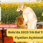 Bolu Arı Yetiştiricileri Birliği’nden 2025 Bal Fiyatları Duyurusu