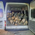 1 ton kaçak orman ürünü ele geçirildi
