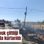 Bolu tavuk çiftliği son anda kurtarıldı