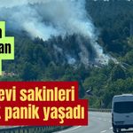 Bolu'da korkutan yangın!