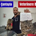 Kediyi not yazıp çanta içinde veteriner kliniğinin kapısına bıraktılar