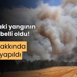 Bolu’daki orman yangınının çıkış sebebi belli oldu; 1 kişi hakkında işlem yapıldı