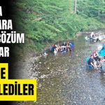 Bolu'da sıcaktan bunalanlar Abant Deresi'nde serinledi