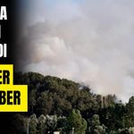 Bolu’da orman yangını başladı