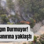 Yangın Durmuyor! Bolu sınırına yaklaştı