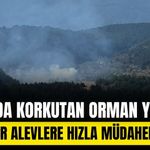 Bolu’da orman yangını ekiplerin hızlı müdahalesiyle söndürüldü
