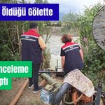 Bolu'da balık ölümlerinin yaşandığı gölde ekipler inceleme yaptı