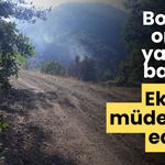 Bolu’da orman yangını başladı