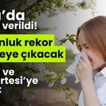 Bolu’da alarm verildi! Polen yoğunluğu rekor seviyede