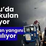 Bolu'daki orman yangını yayılıyor