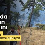 Bolu’da orman yangını ekiplerin müdahalesi sürüyor