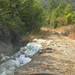 Bolu’da, yayla yoluna atılmış yüzlerce tavuk leşi bulundu