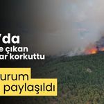 Bolu’da peş peşe çıkan iki yangın korkuttu