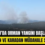 Bolu’da orman yangını: Havadan ve karadan müdahale sürüyor