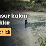 Bolu'da, kuruyan gölette mahsur kalan balıklar kurtarıldı