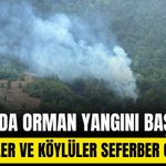 Bolu'da ormanlık alanda çıkan yangına müdahale ediliyor