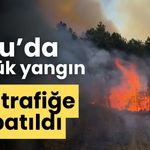 Bolu’da büyük yangın yol trafiğe kapatıldı