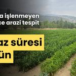 Bolu'da, işlenmeyen binlerce tarım arazisi tespit edildi!