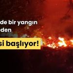 Düzce'de bir yangın bitmeden, diğeri başlıyor!