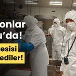Bolu’ya gelen Japonlar, Beypiliç tesisini inceledi