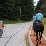 Bolu'da atlı jandarma timleri görev başında