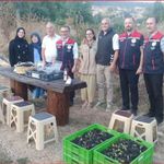 Bolu’da organik aronya hasadı başladı