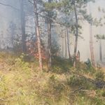 Bolu’da orman yangını! Kürkçüler TOKİ üzerinde dumanlar yükseldi