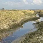 Su ve koku sorunu meclise taşındı