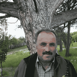 Üzerine ağaç devrilen vatandaş hayatını kaybetti
