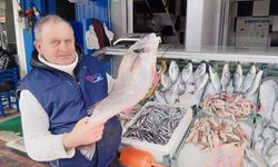 Minekop Balığı Kilosu 250 TL’den Tezgahta Yerini Aldı