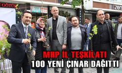 MHP İL TEŞKİLATI, 100 YENİ ÇINAR DAĞITTI