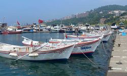 Zonguldaklı Balıkçılar Dip Balıkçılığından Umutlu