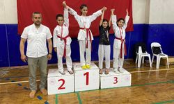 Taekwondo Şampiyonasına Alaplı Damgası