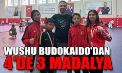WUSHU BUDOKAIDO'DAN 4'DE 3 MADALYA