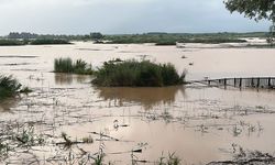 Efteni Gölü Yağışlar Sonrası Taştı