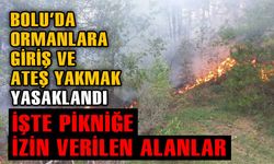 ORMANLARA GİRİŞ İLE PİKNİK VE ATEŞ YAKILMASI YASAKLANDI