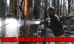 Bolu-Ankara sınırında çıkan orman yangını kontrol altına alındı